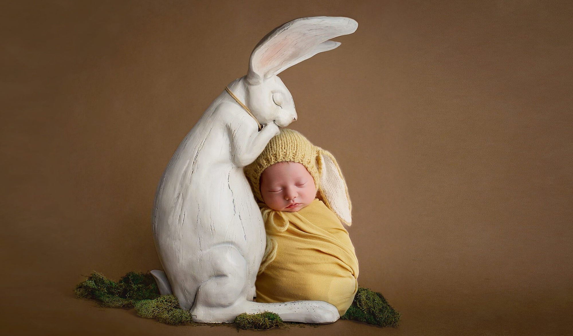 Newborn Digital Backdrop: Darling Rabbit