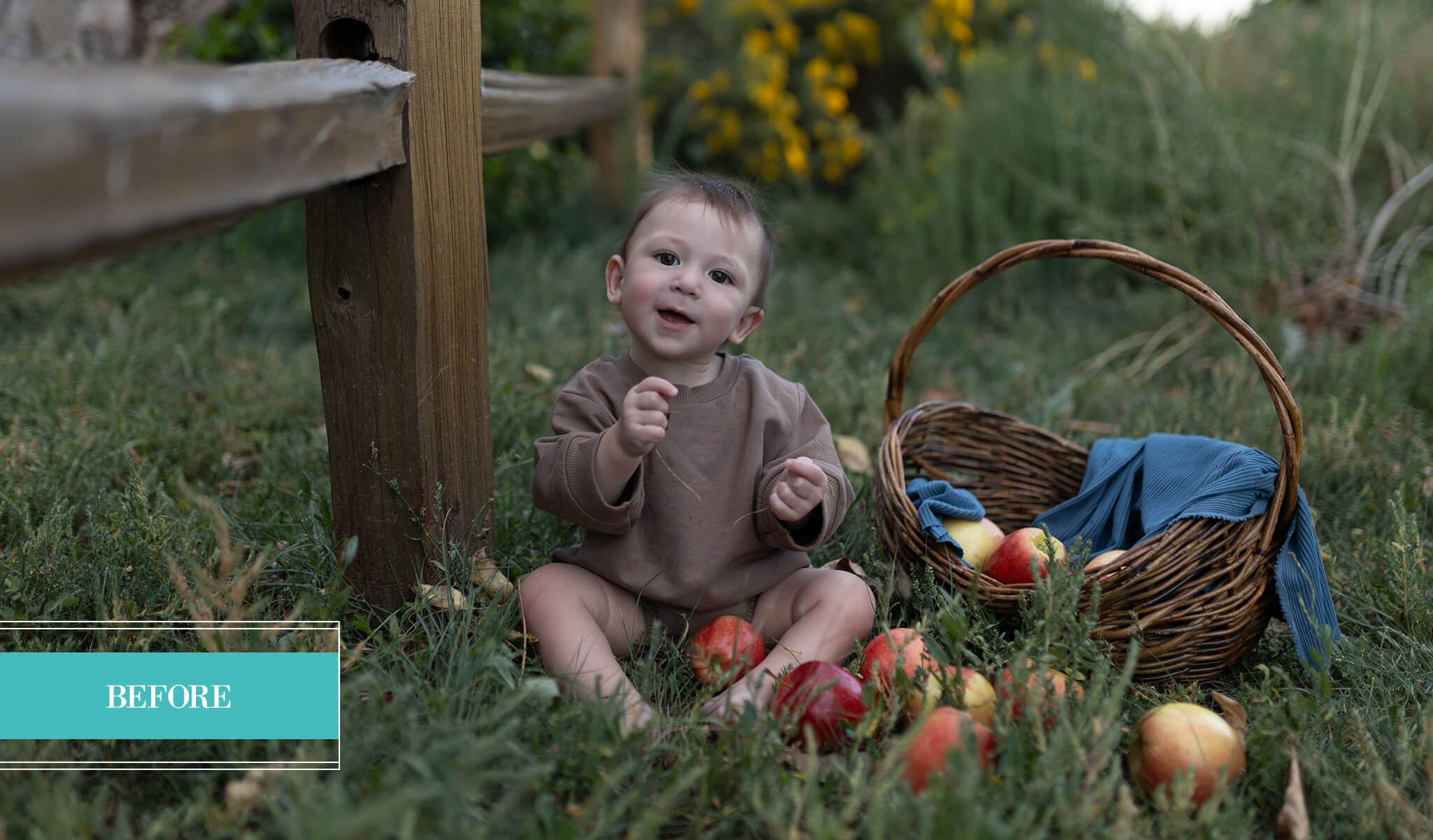 Complete Collection of Pretty Presets for Lightroom