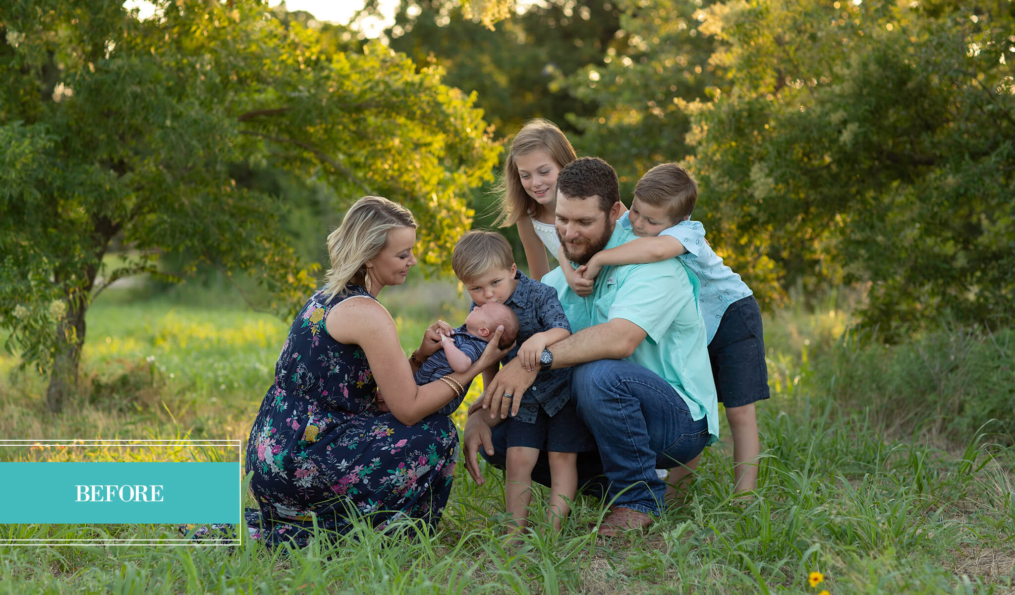 Pretty Evolution & AI Preset Collection Bundle