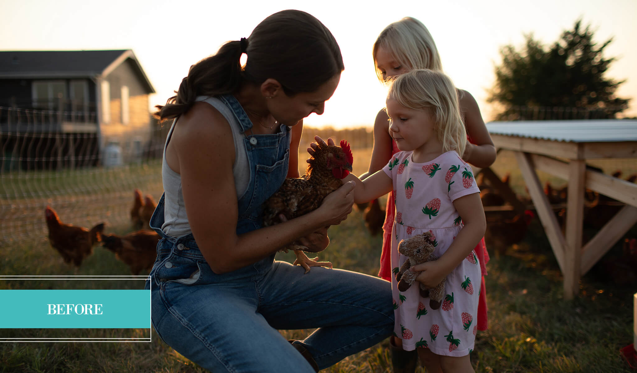 Pretty Evolution & AI Preset Collection Bundle