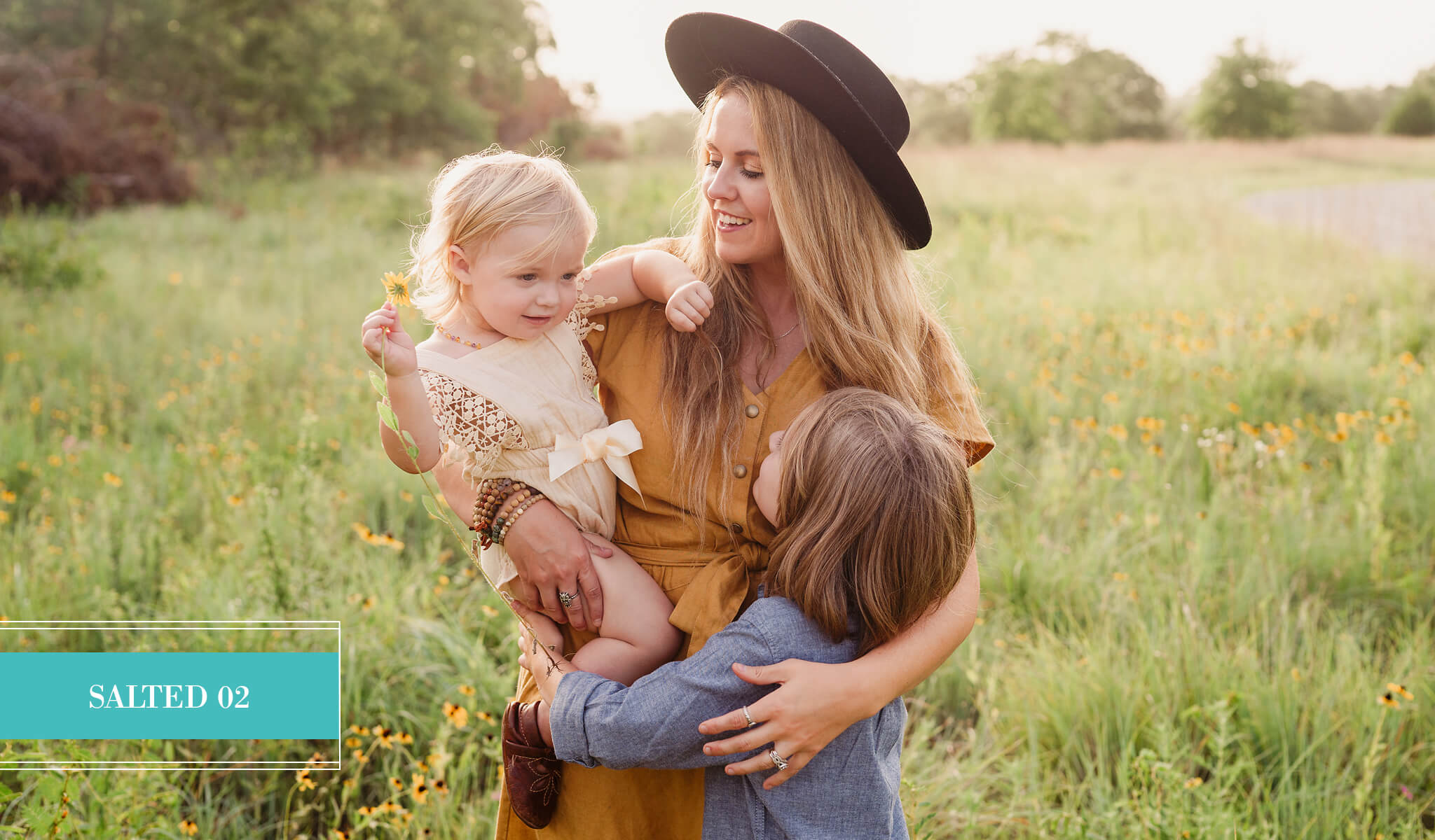 SALTED Evolution Preset Collection