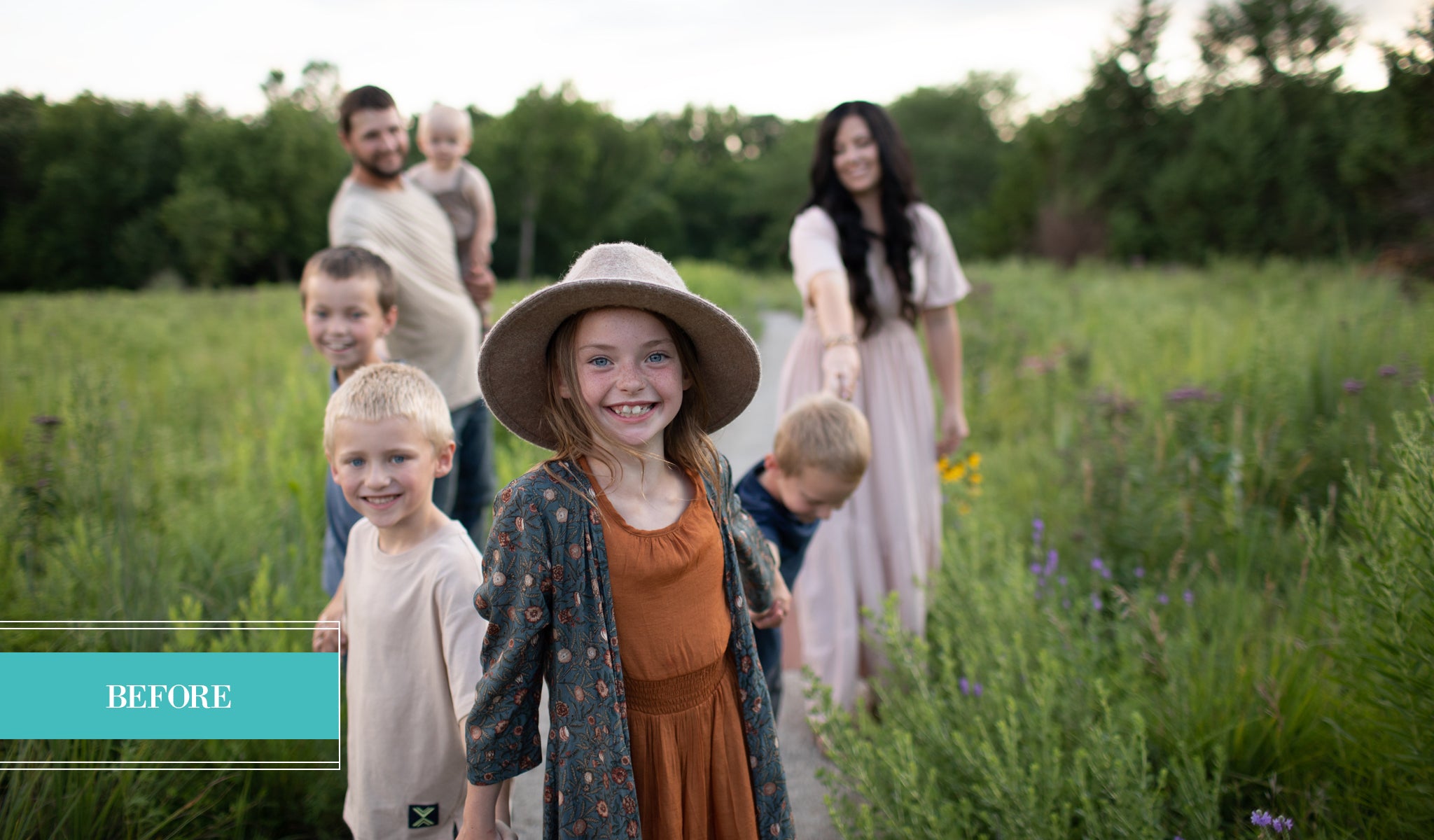 WILDHEART Evolution Preset Collection