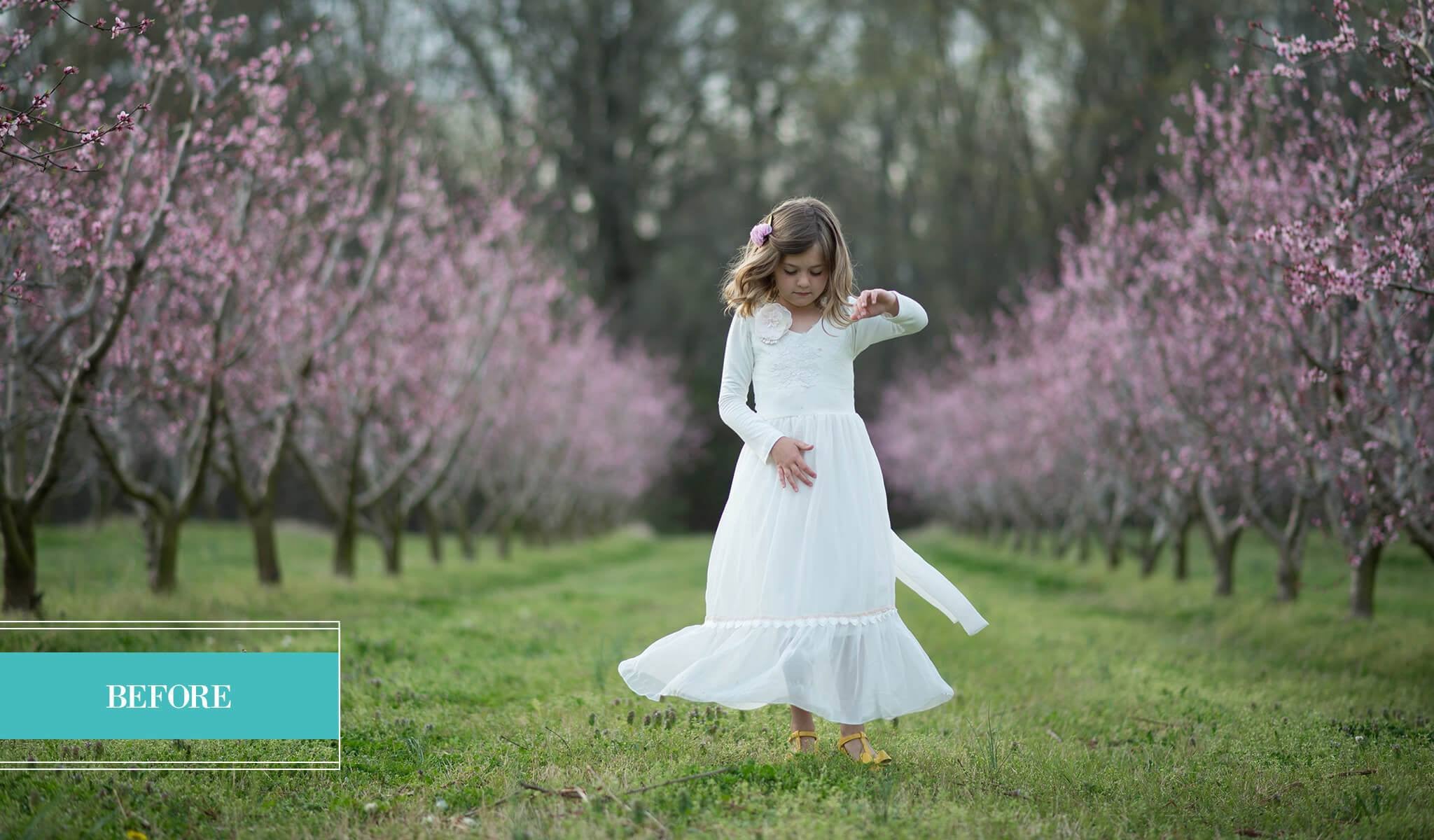 Beloved Limited Edition Millennium Collection