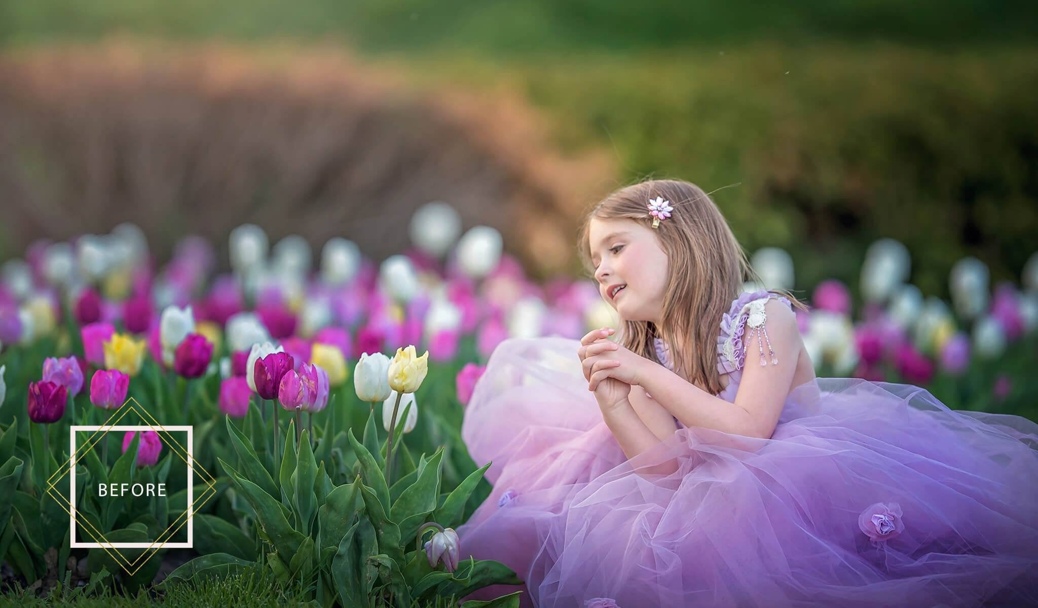 Photoshop FAIRY Overlays