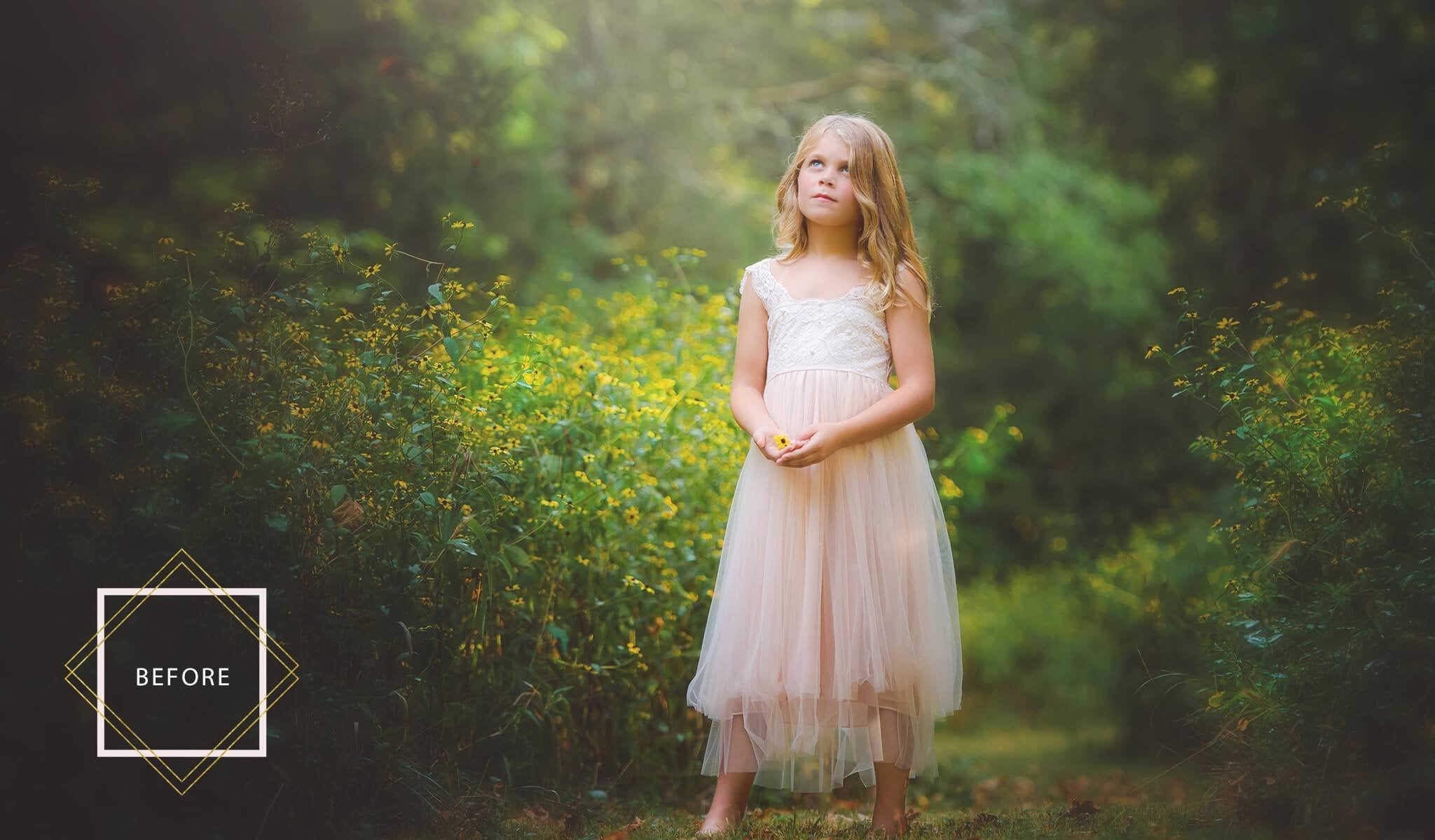 Fairyland Photoshop Actions