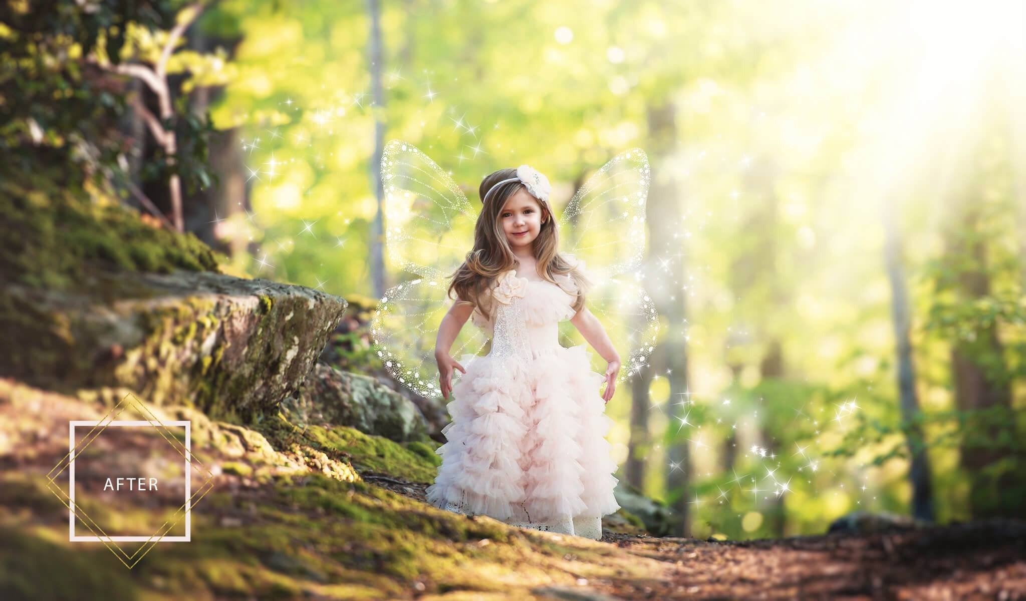 Photoshop Fairy Wing Overlays