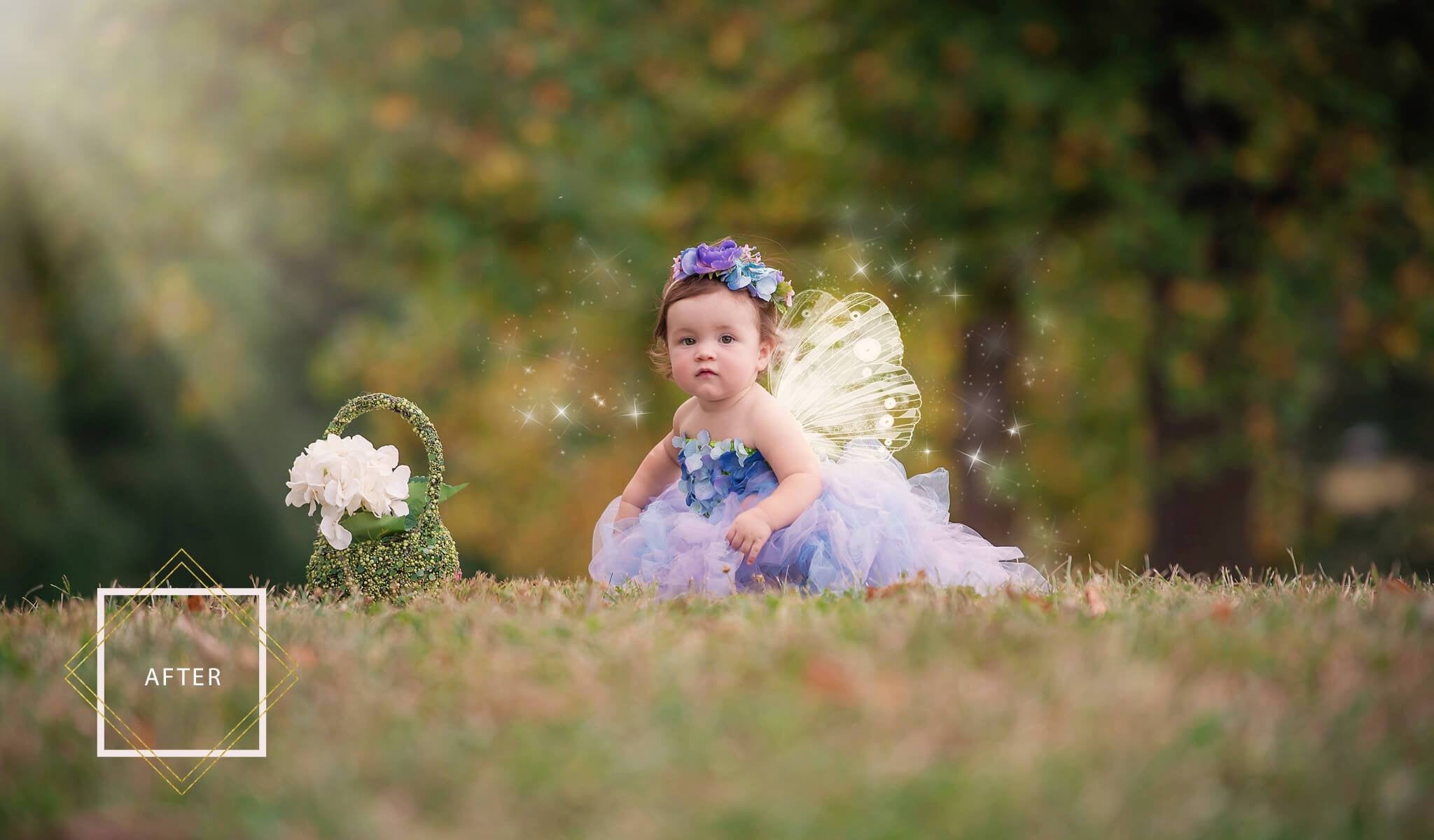 Photoshop Wing Overlays