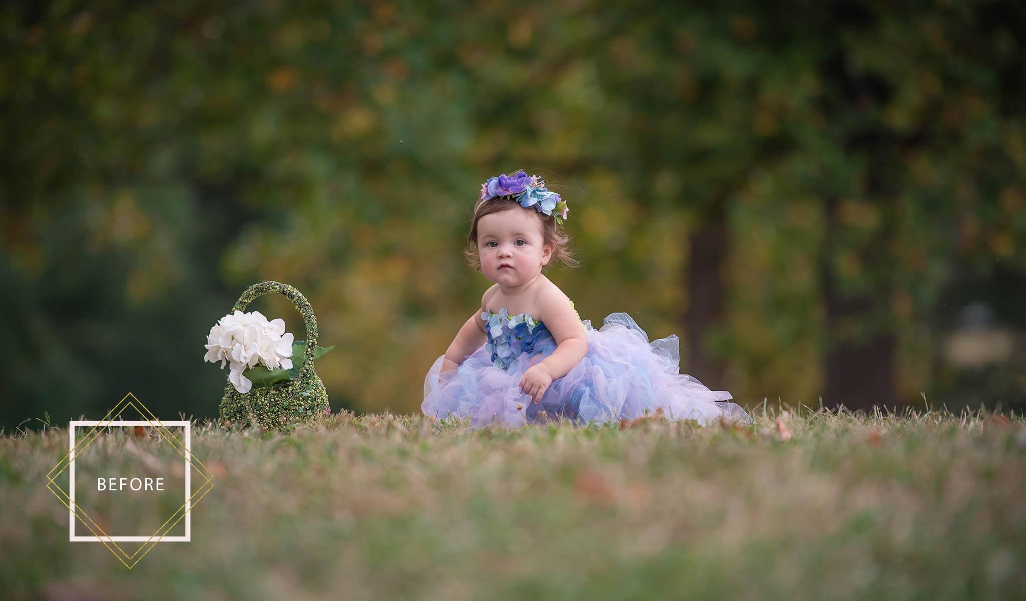 Fairy Wing Overlays Photoshop