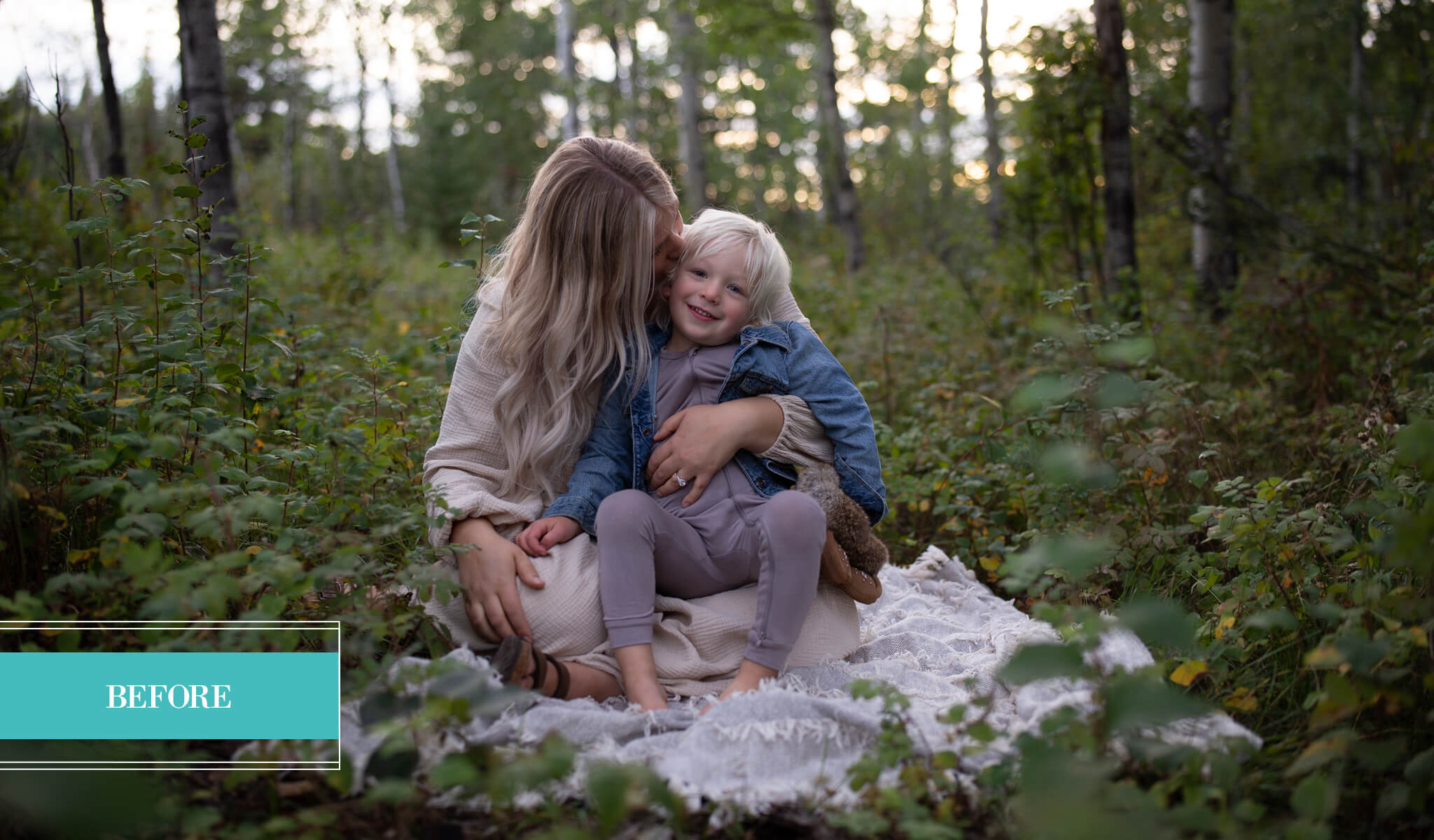 Warm & Organic Millennium Preset Collection