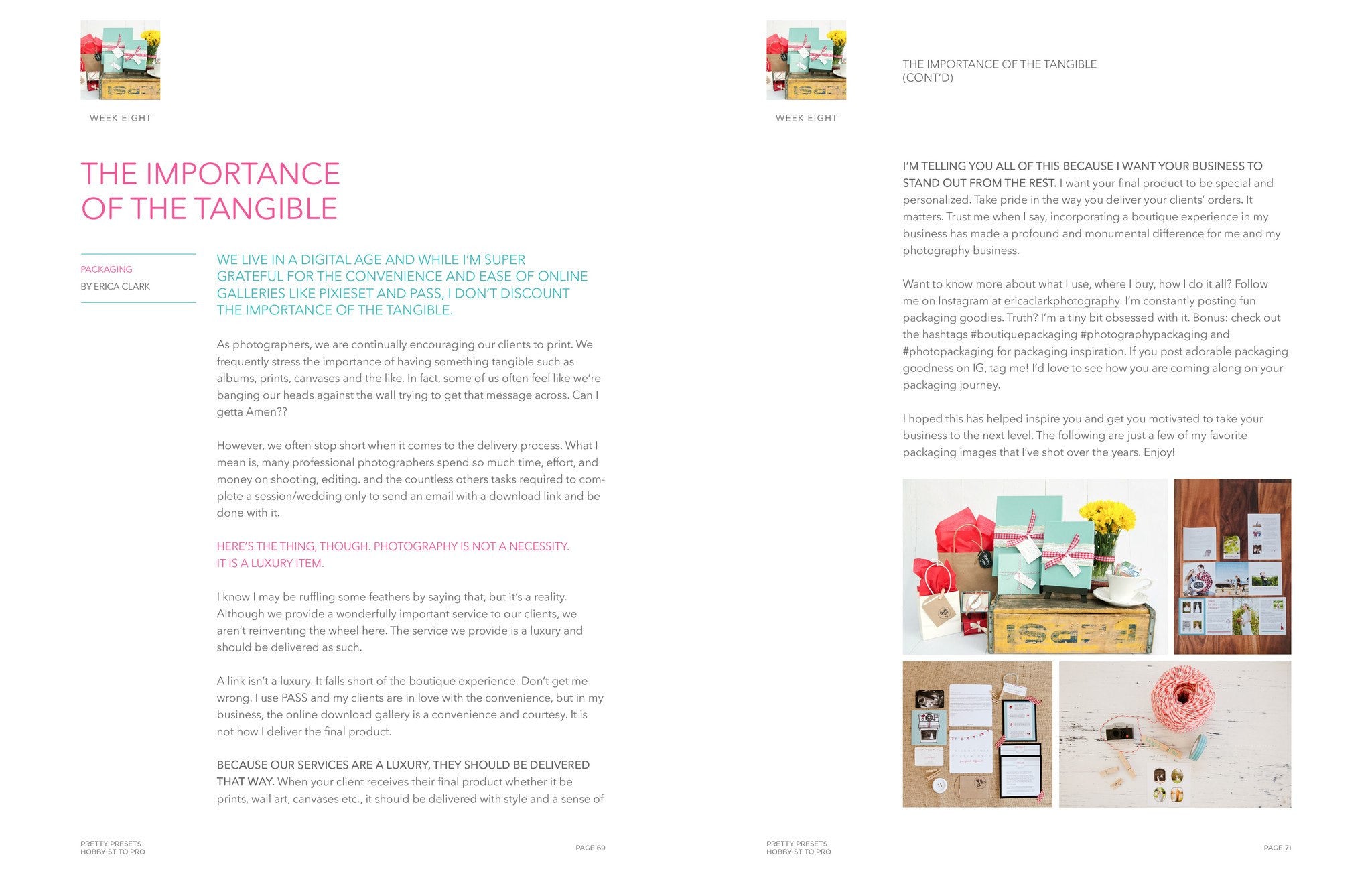 Hobbyist to Pro: A 16 Week Course To Help You Build Your Business - Pretty Lightroom Presets