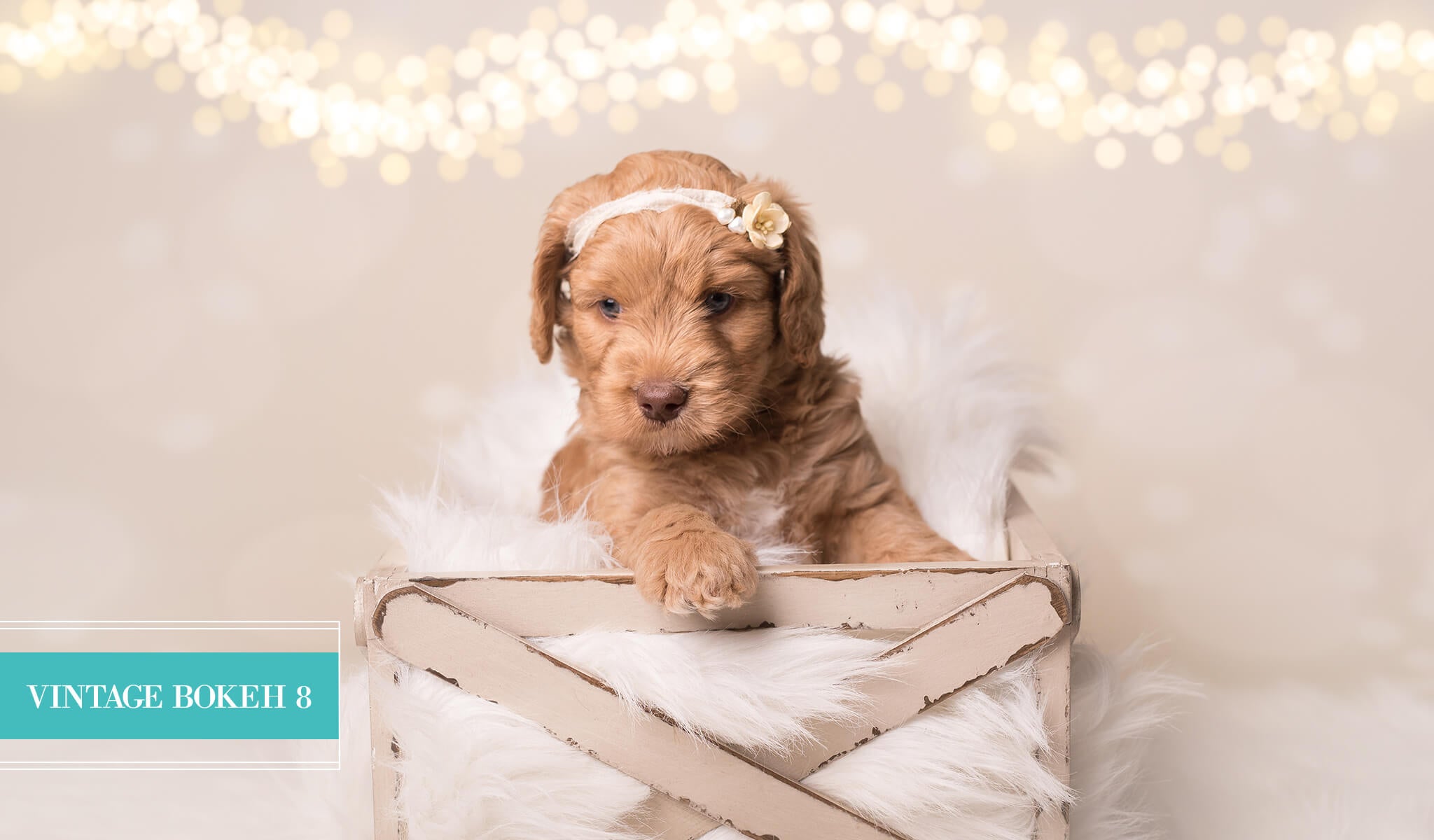 Holiday Bokeh Lightroom Presets - Limited Edition Collection - Pretty Lightroom Presets