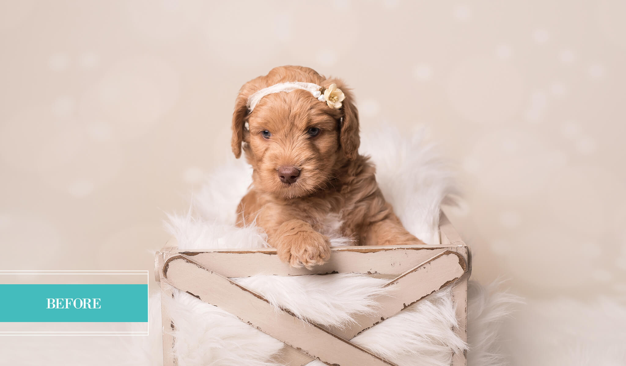 Holiday Bokeh Lightroom Presets - Limited Edition Collection - Pretty Lightroom Presets