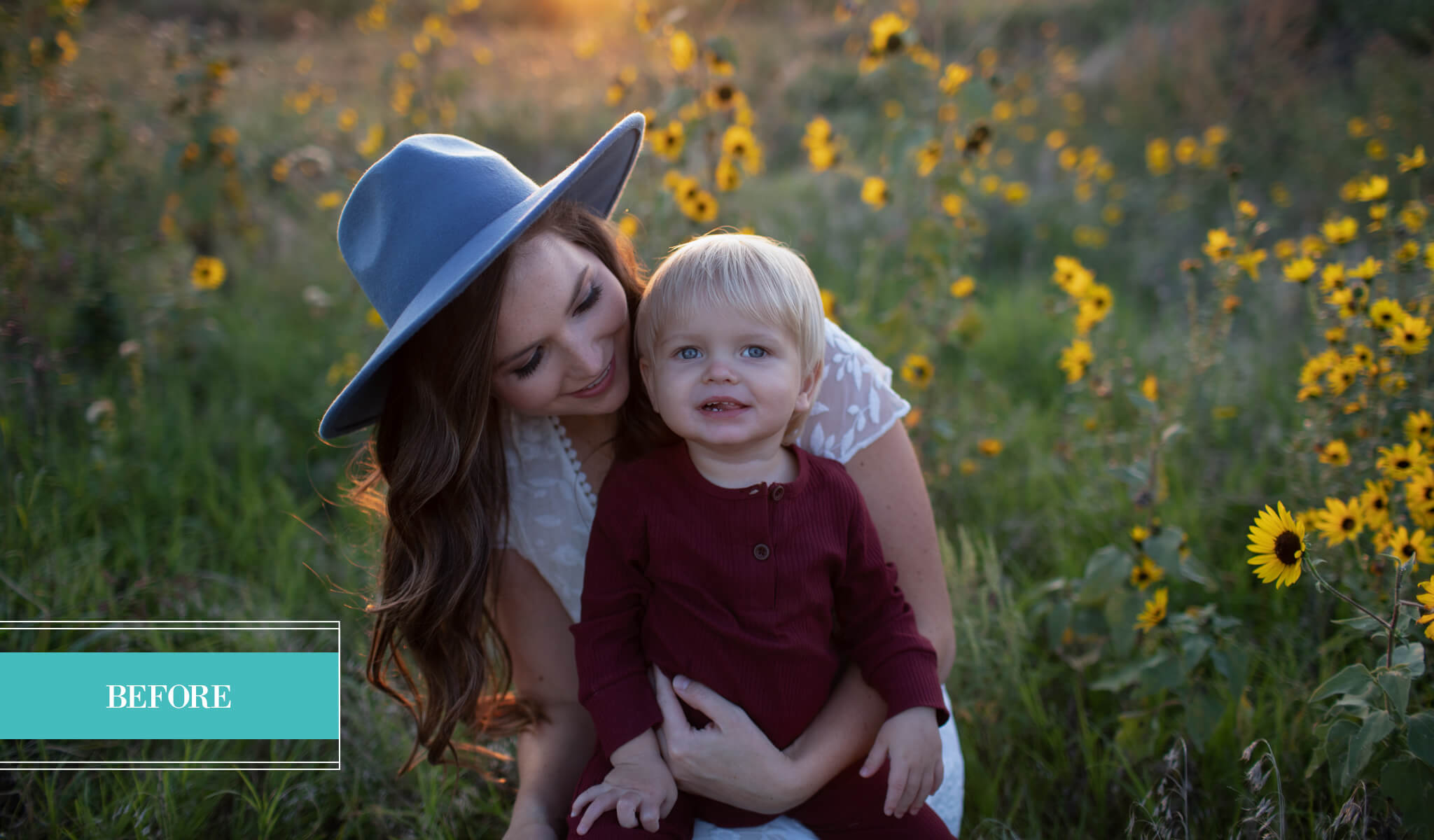 WILDHEART Evolution Preset Collection