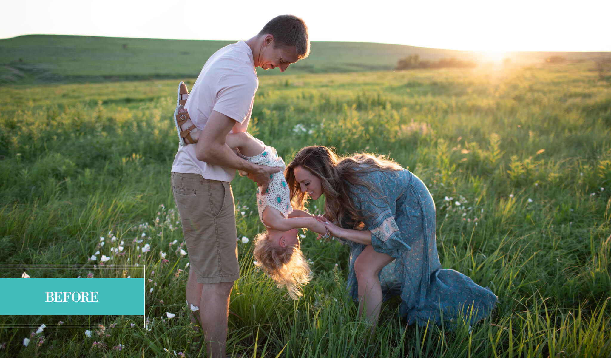 WILDHEART Evolution Preset Collection