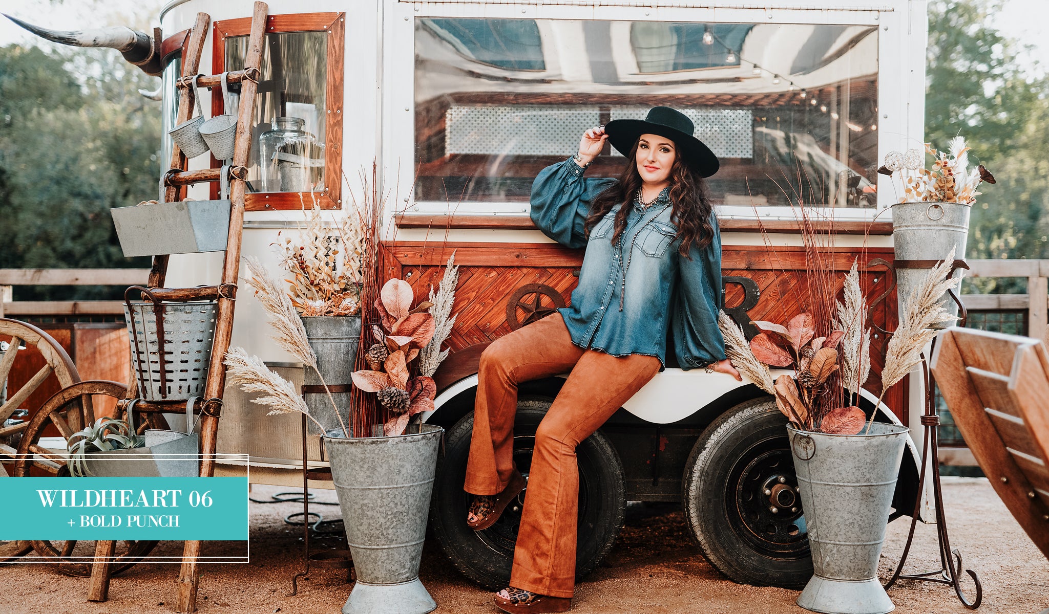 Wildheart 06 Preset for Lightroom