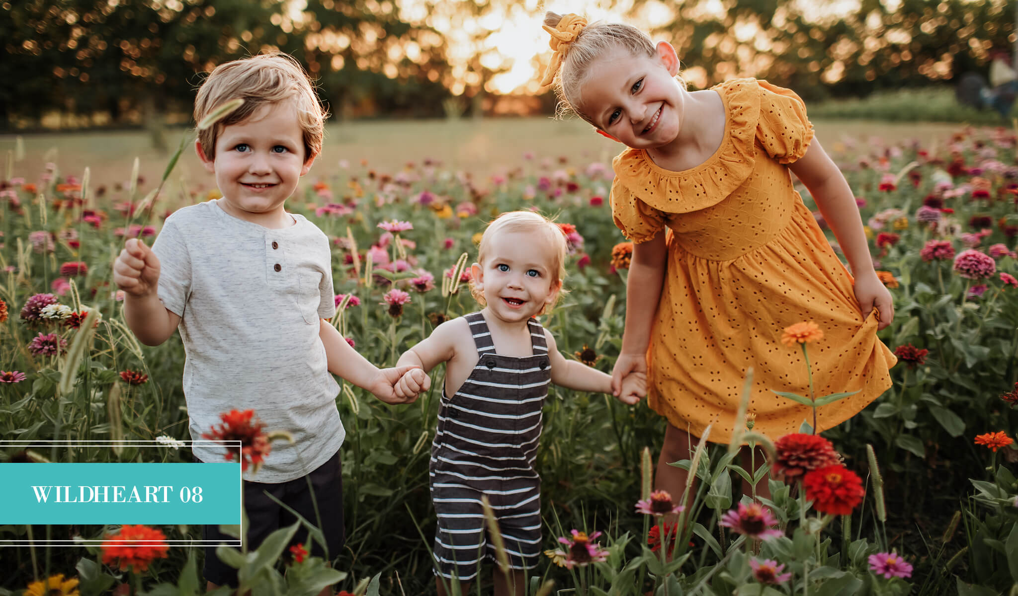 Wildheart 08 Preset for Lightroom