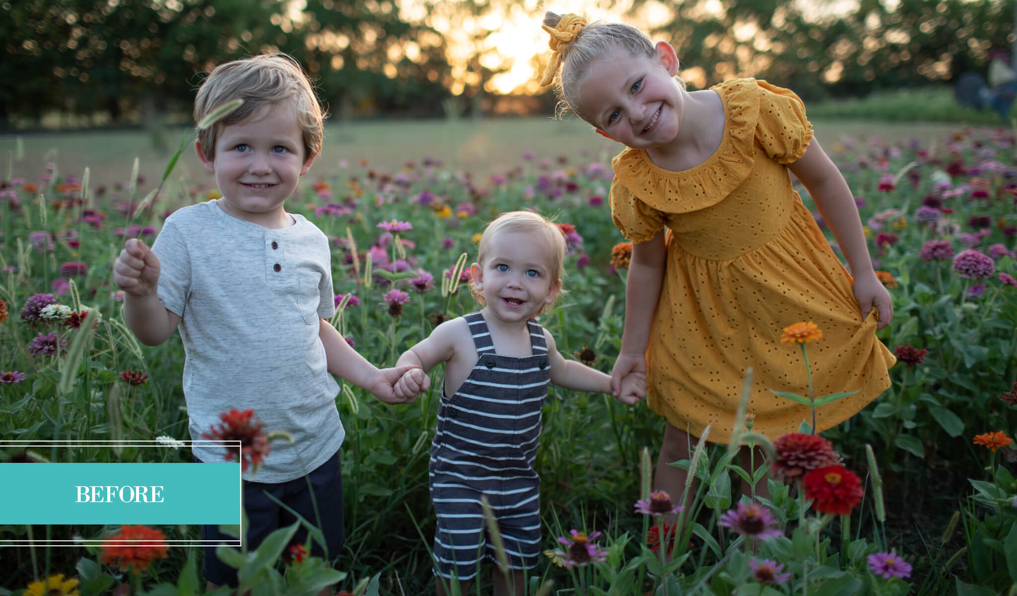 WILDHEART Evolution Preset Collection