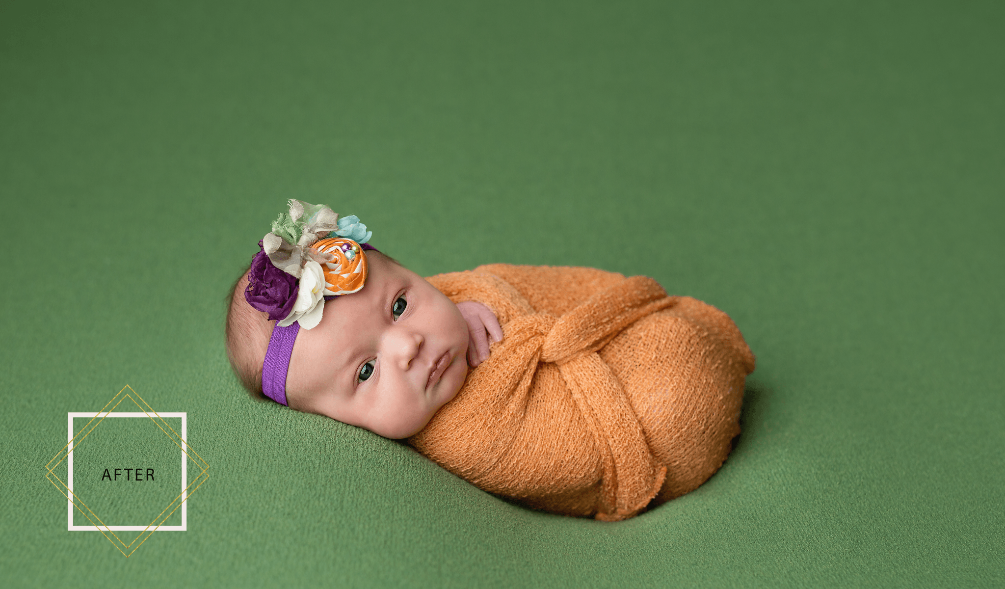 Best Newborn Photoshop Actions