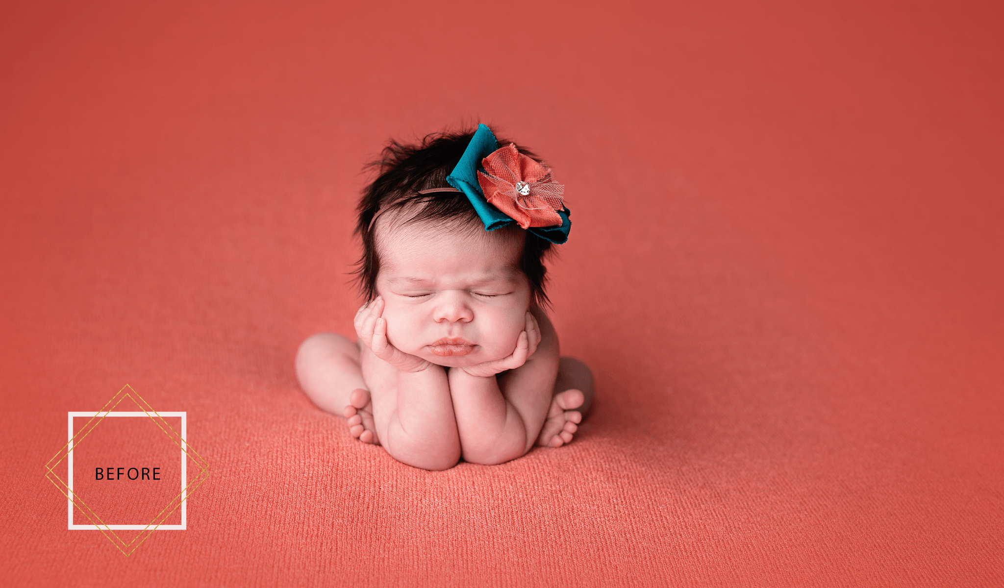 LUXE Newborn Photoshop Actions Collection