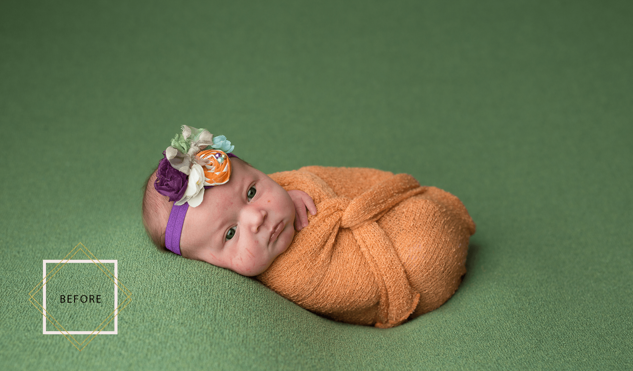 LUXE Newborn Photoshop Actions Collection