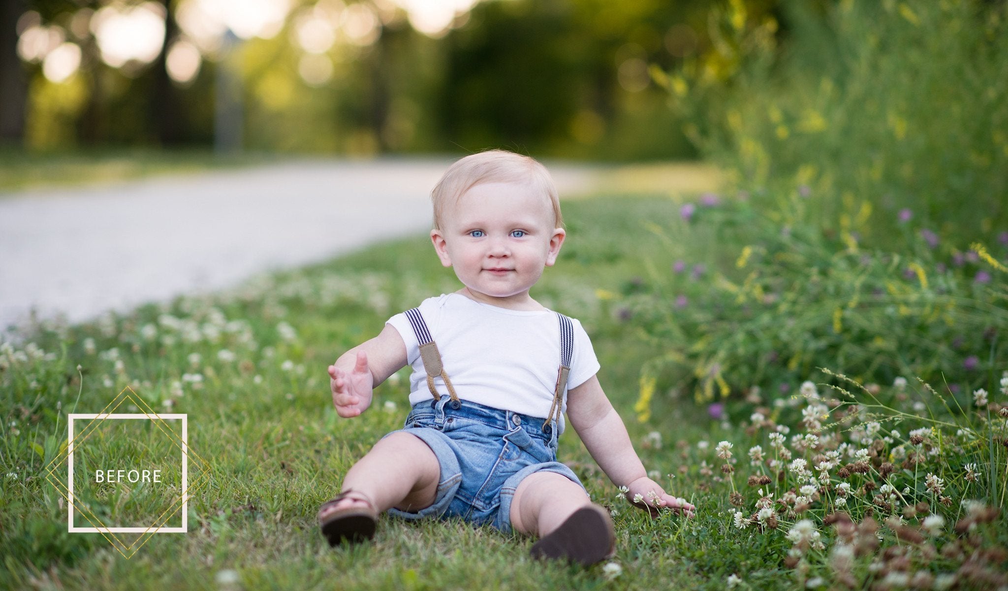 Flower & Blossom Overlays for Photoshop (before img) Pretty Actions