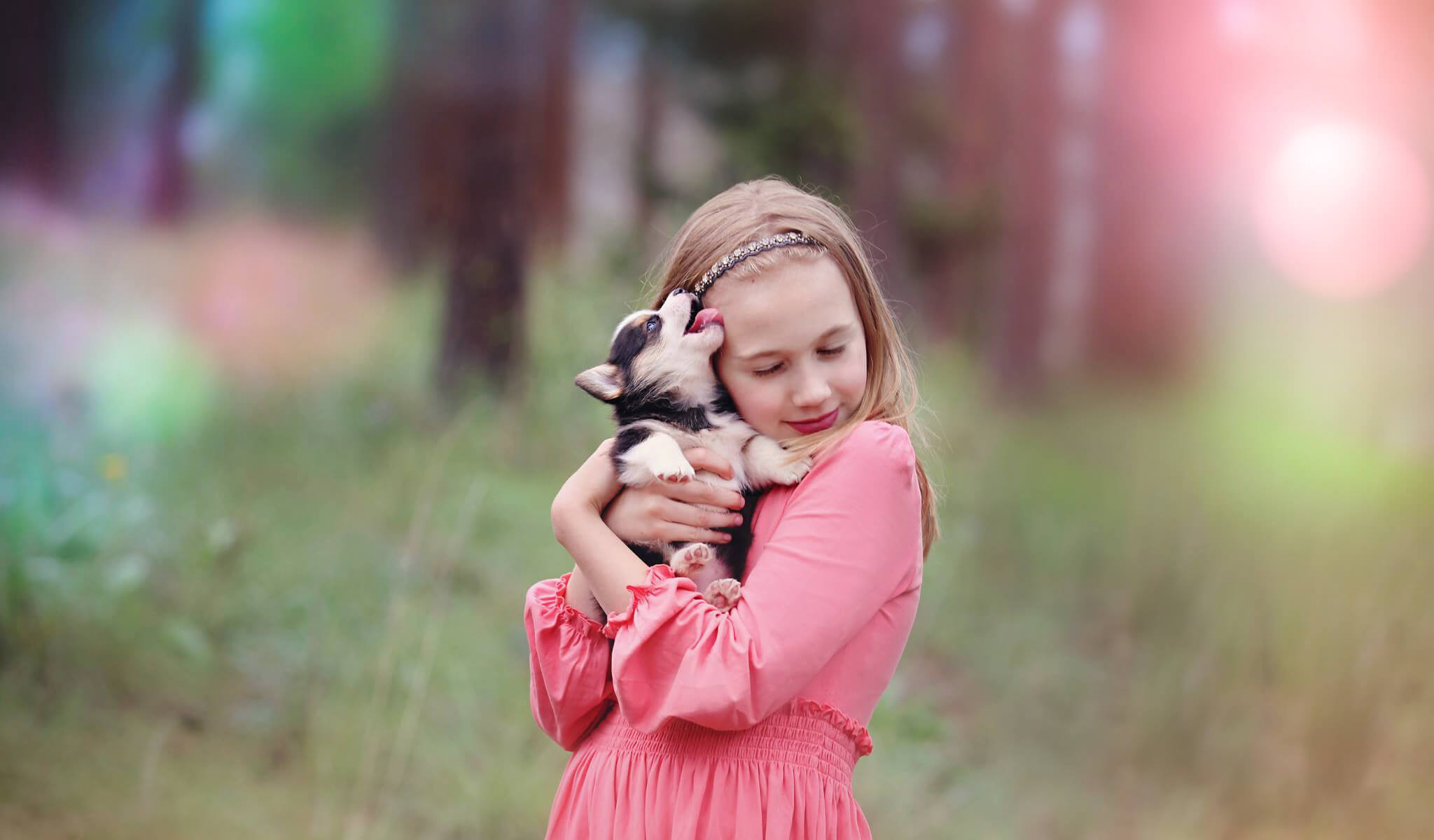 Pretty Bokeh Limited Edition Collection for Lightroom