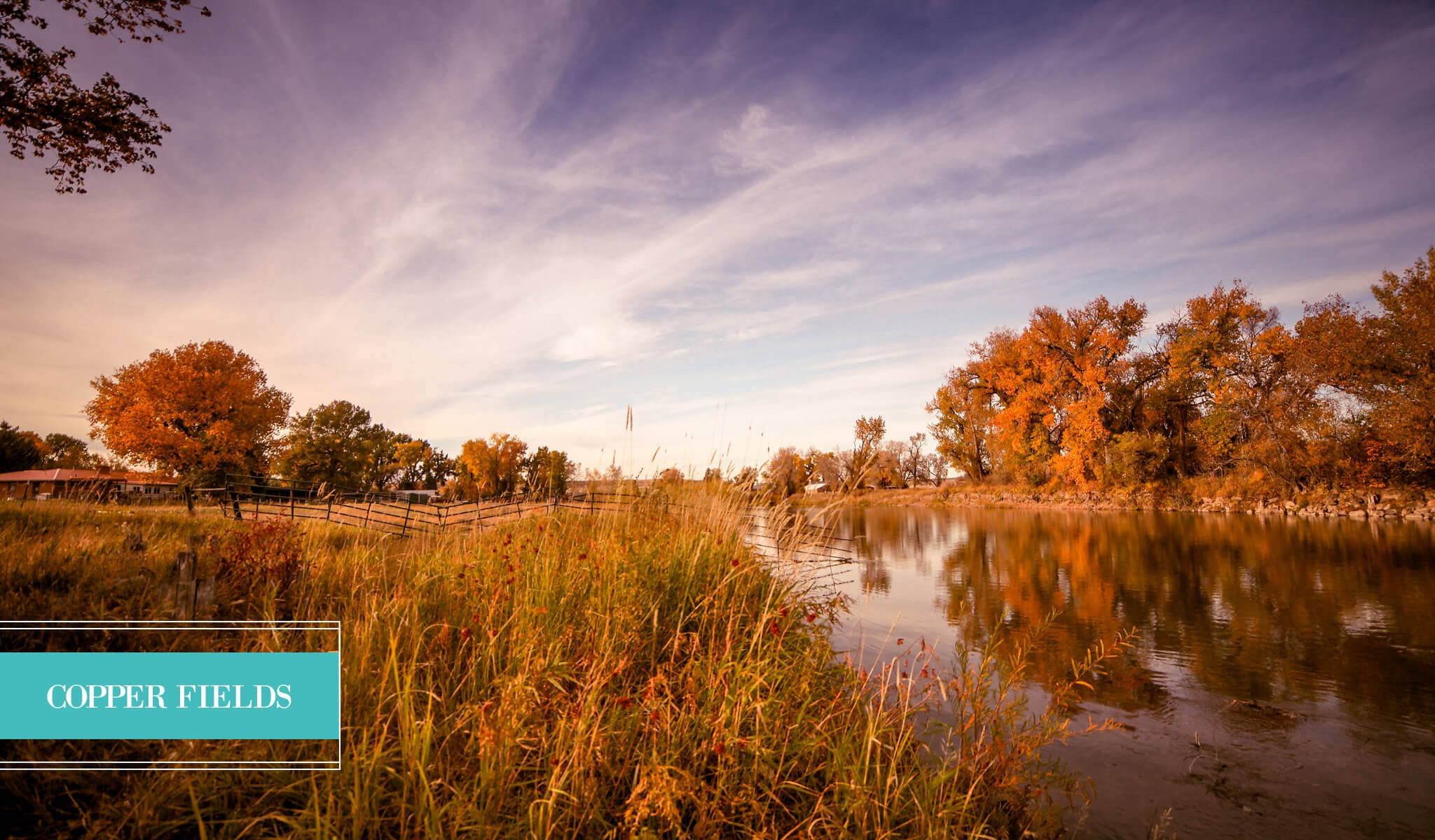 Landscape Presets - Pretty Lightroom Presets