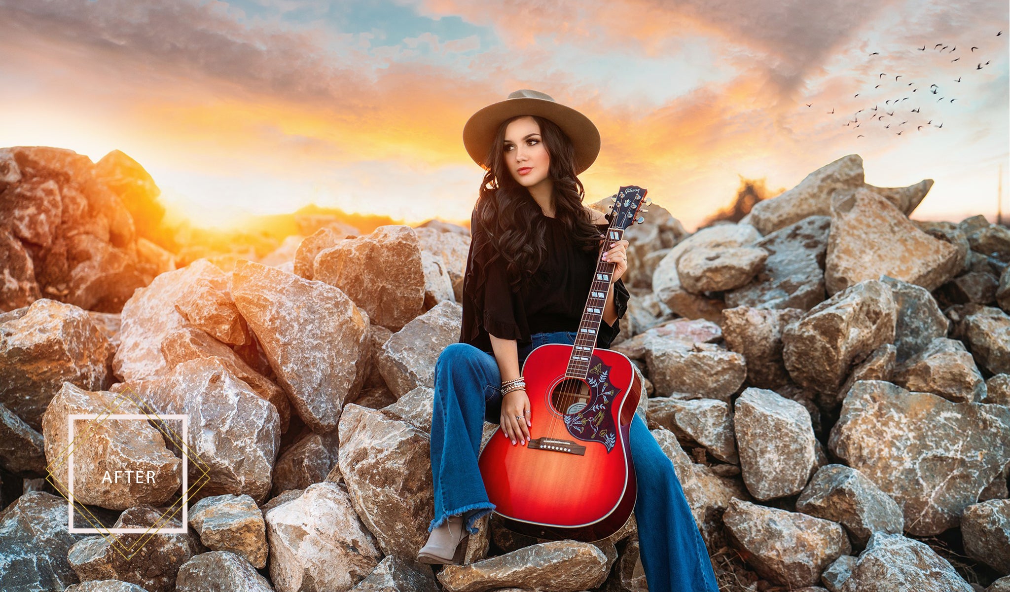 Birds Flying Overlay