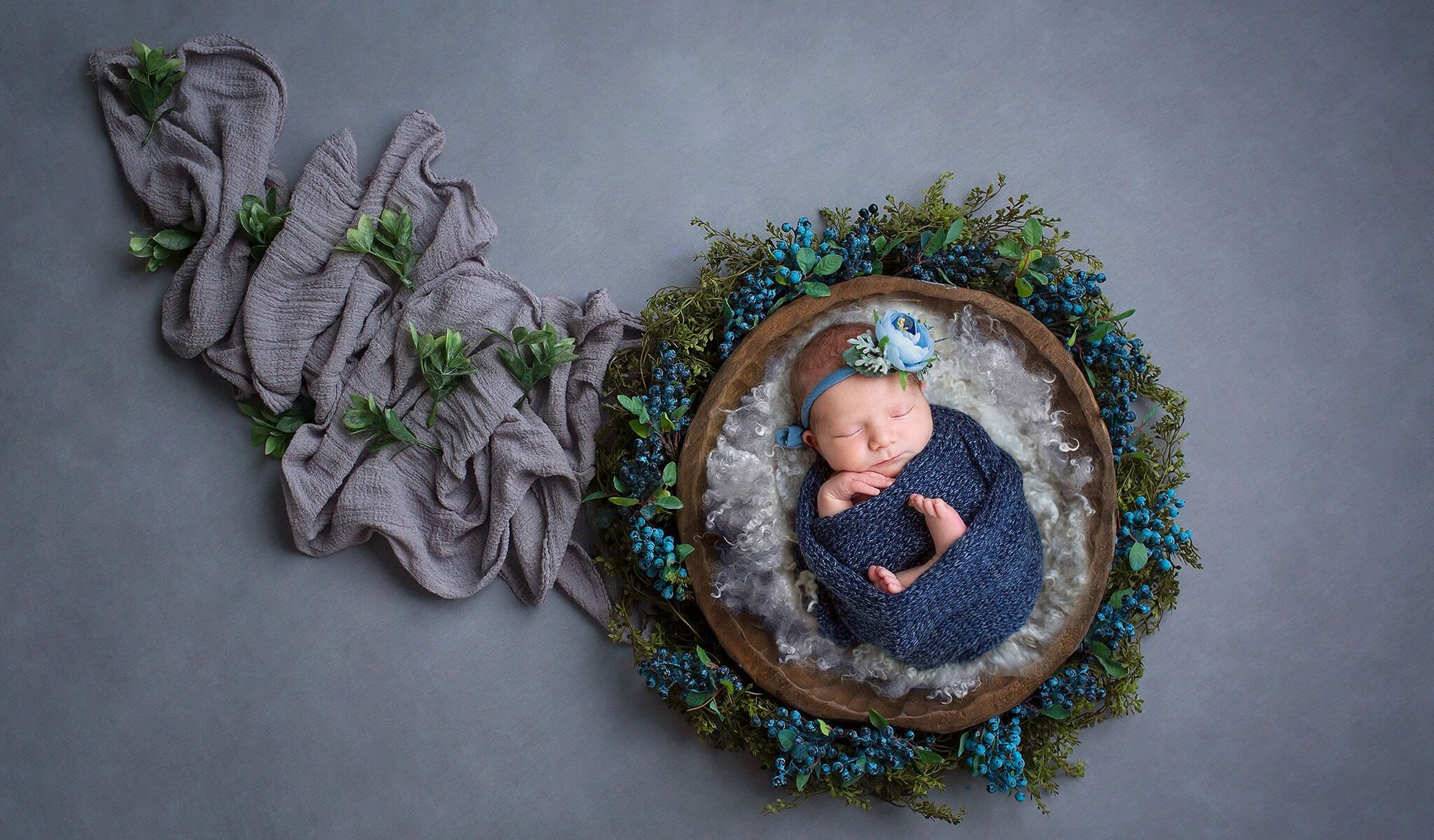 Newborn Digital Backdrop: Blueberry Hill