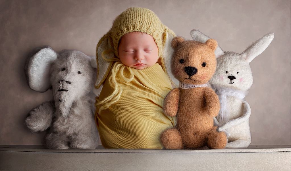 Newborn Digital Backdrop: Furry Friends