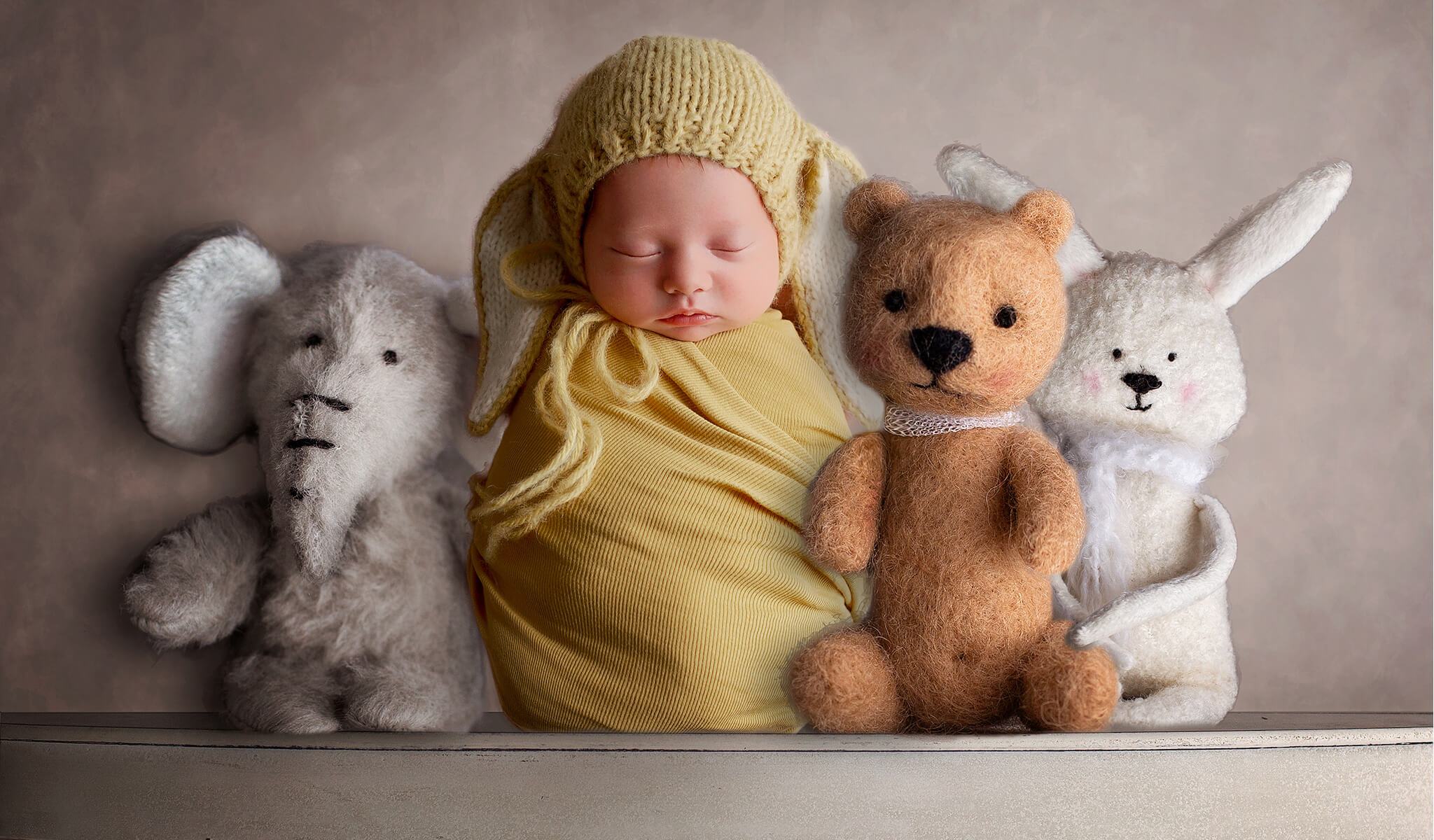 Stuffed Animals Digital Backdrop Newborn Photography