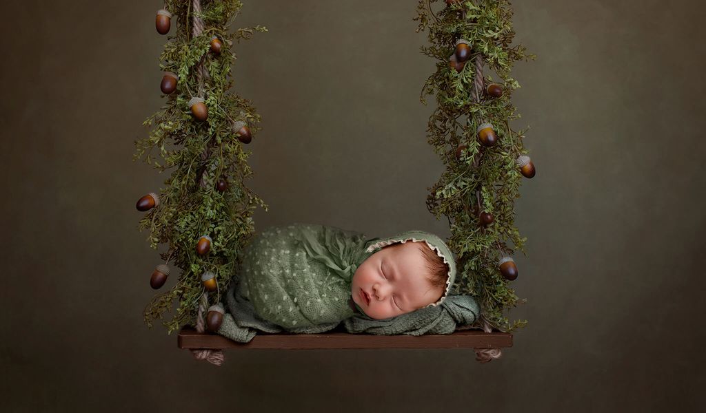 Newborn Digital Backdrop: Woodland Forest Swing