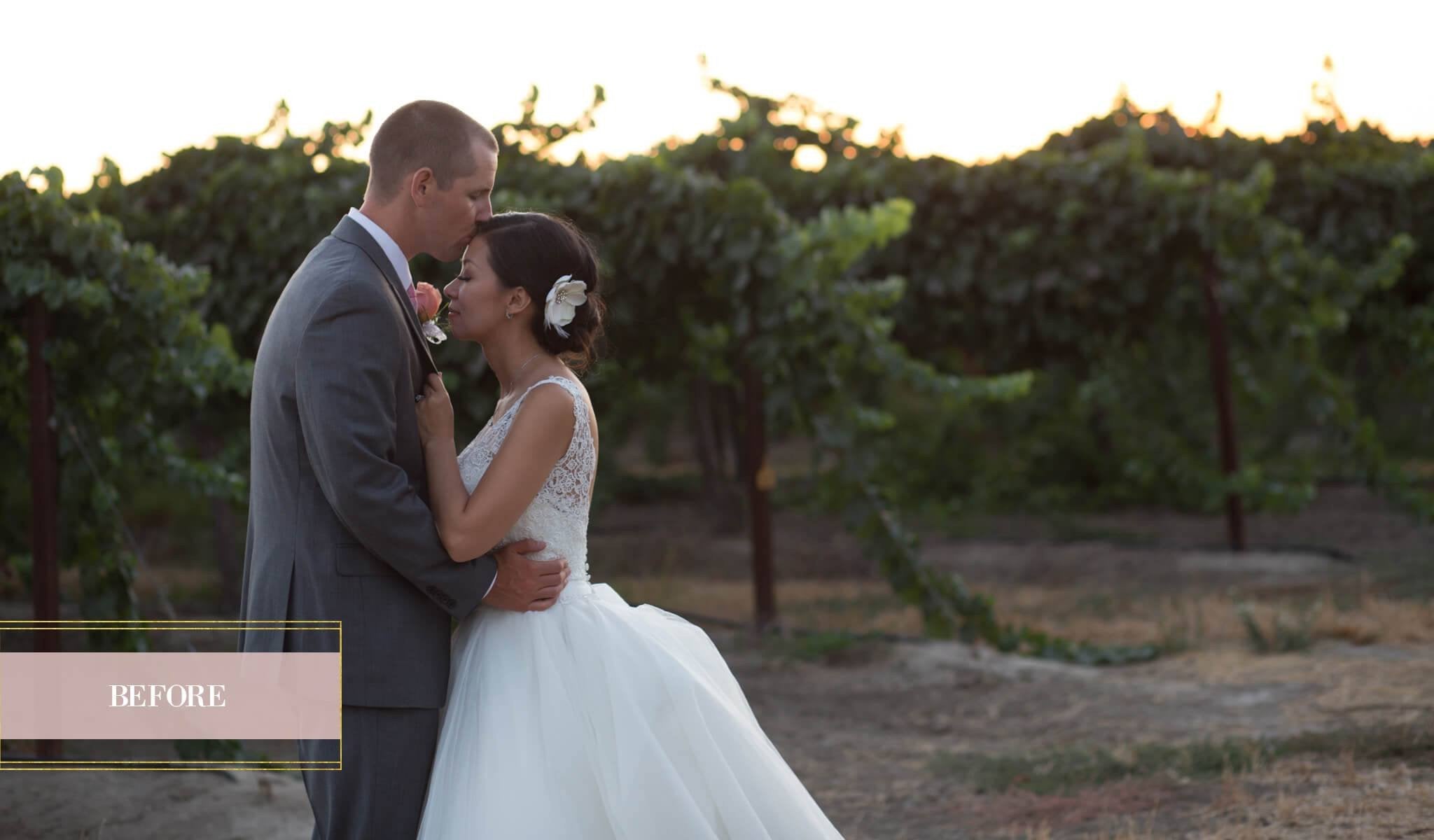 PURE Color Workflow - Photoshop Portrait Actions