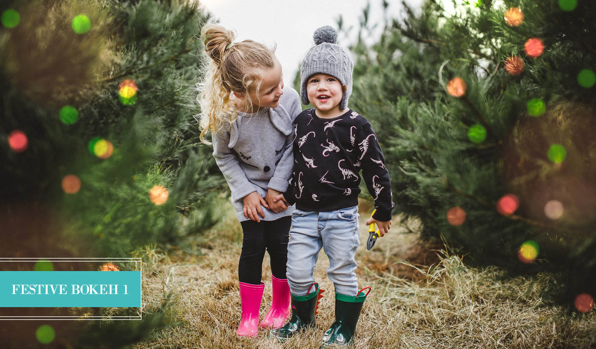 Holiday Bokeh Lightroom Presets - Limited Edition Collection - Pretty Lightroom Presets