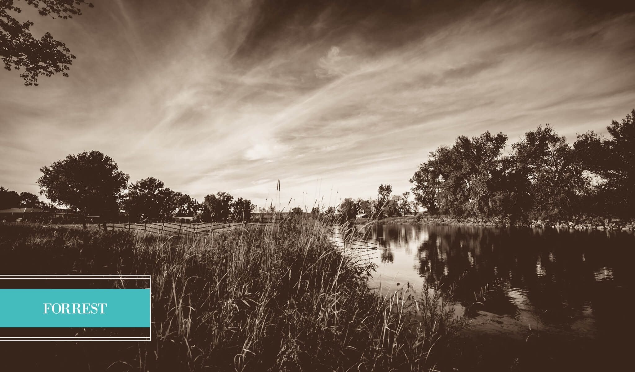 Landscape Presets - Pretty Lightroom Presets