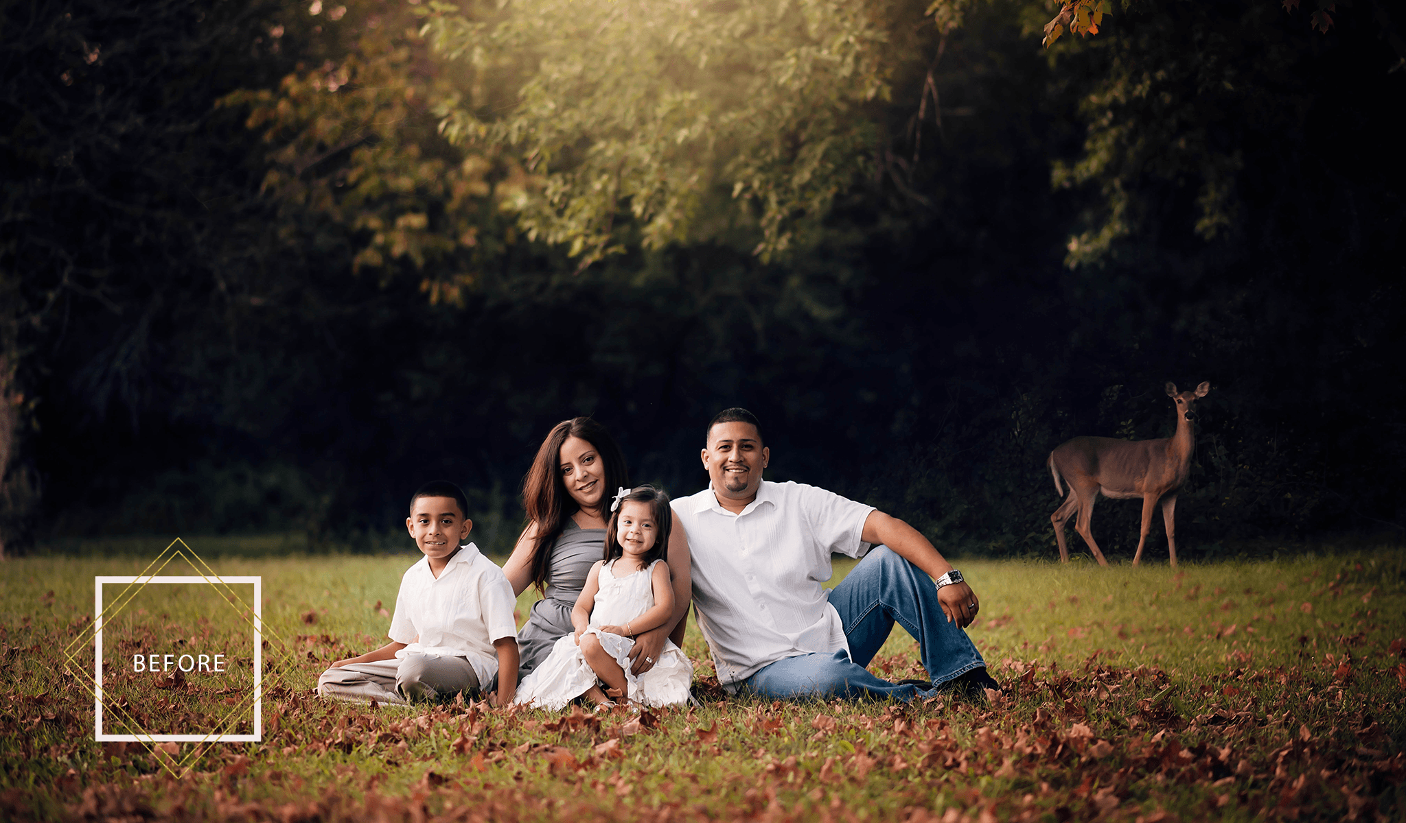 Falling Leaves Overlays & Actions Collection