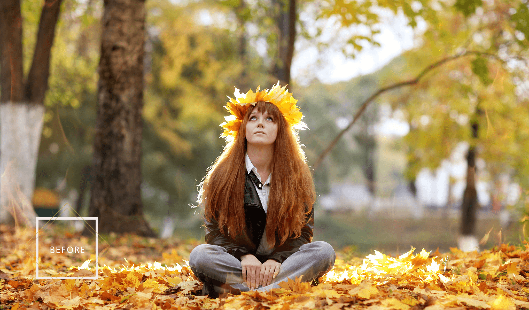 Falling Leaves Overlays & Actions Collection