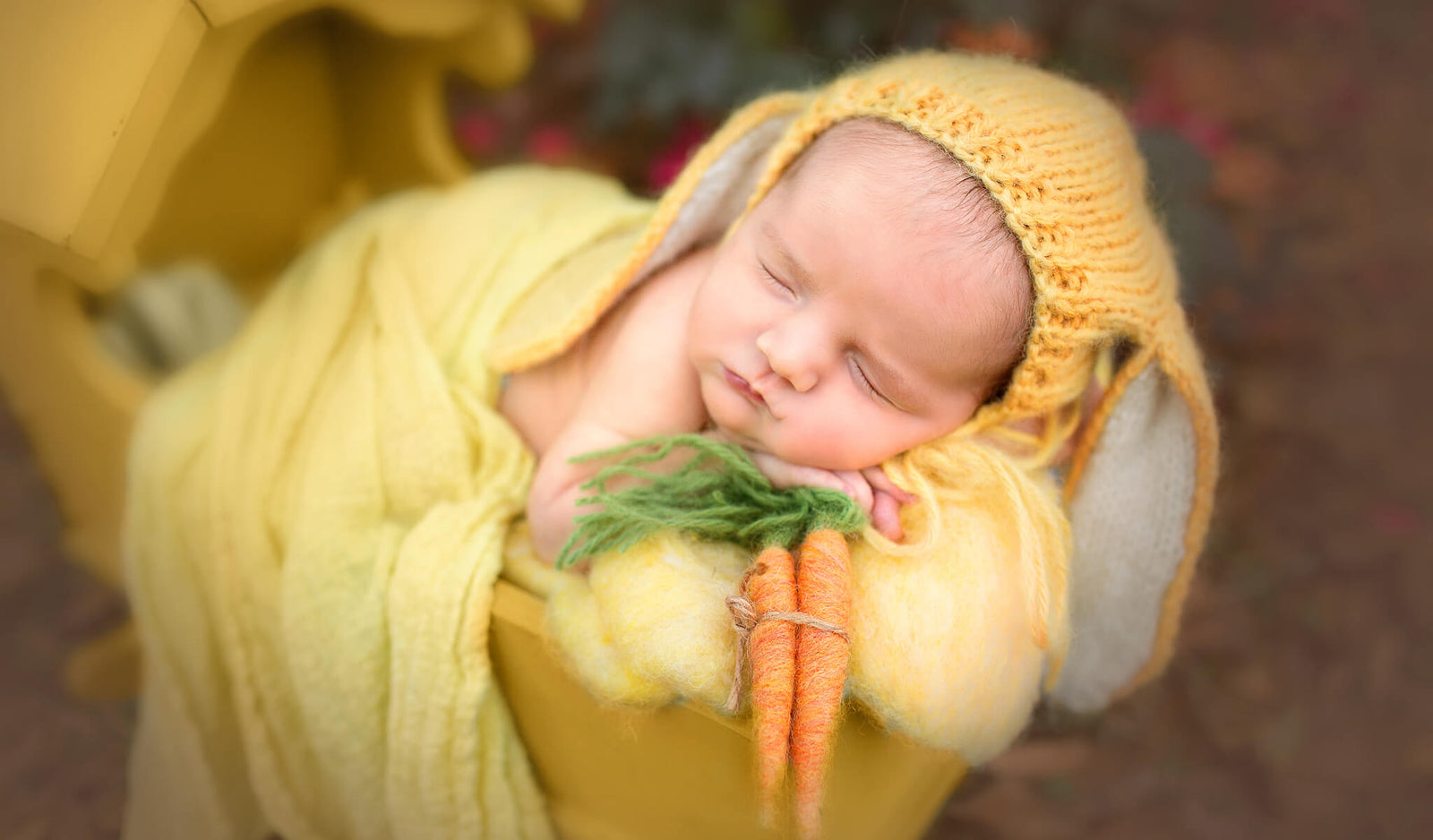 LUXE Newborn Photoshop Actions Collection