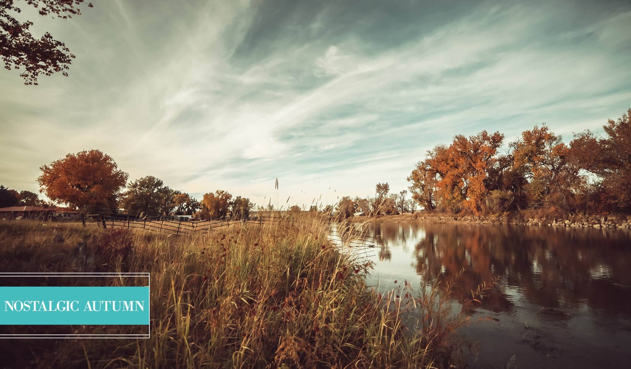 Landscape Presets - Pretty Lightroom Presets