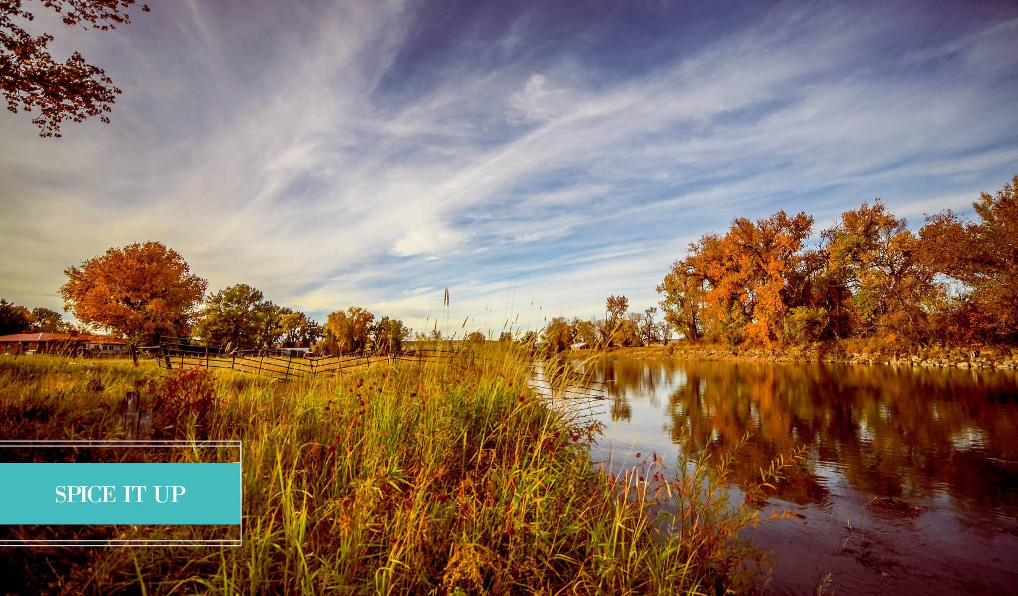 Landscape Presets - Pretty Lightroom Presets