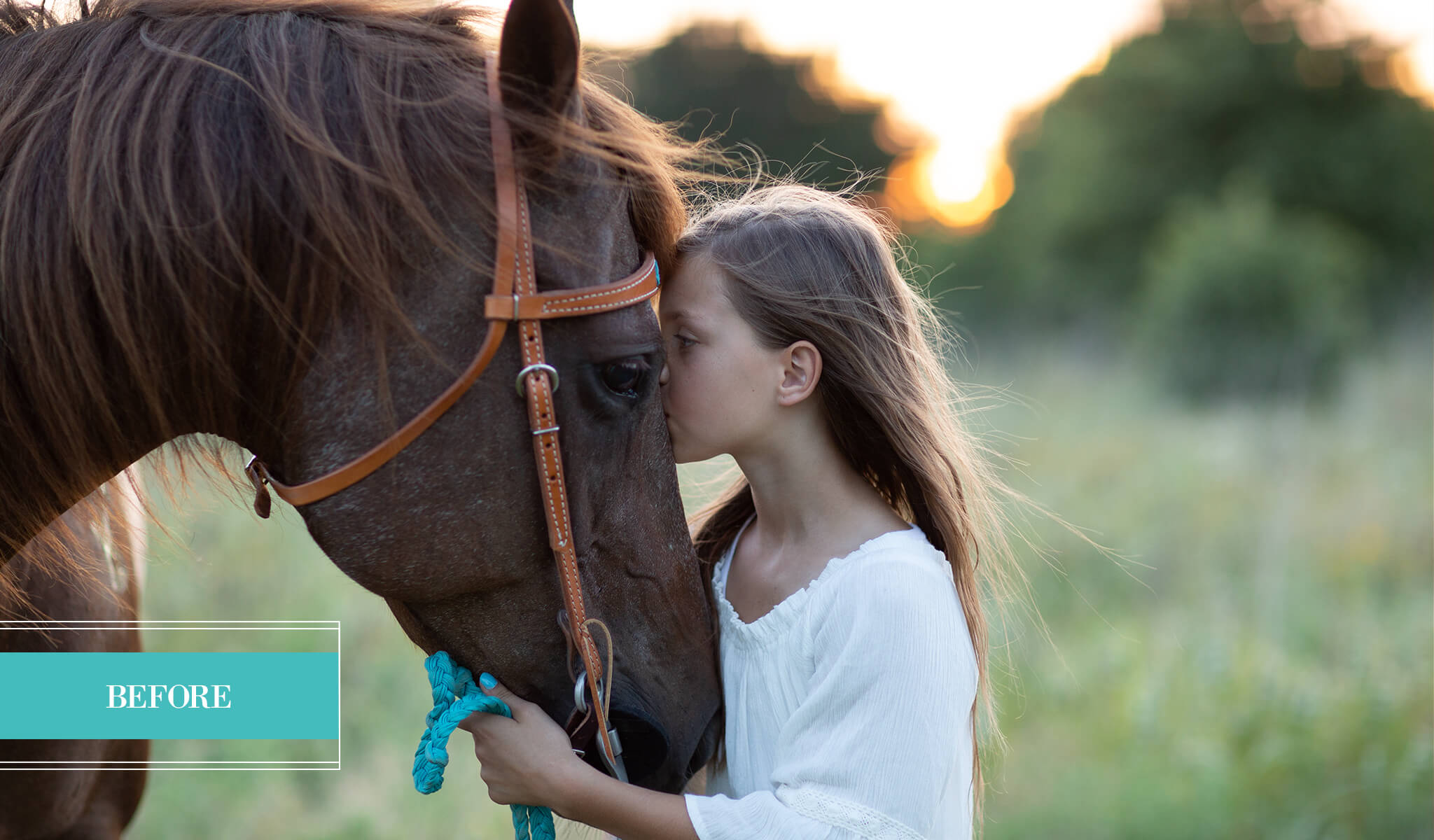 Jubilee Limited Edition Millennium Collection